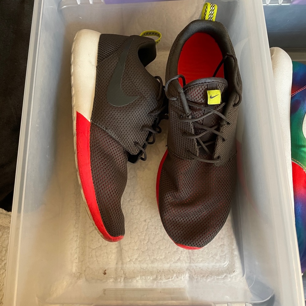 Roshes
